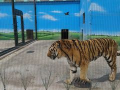 -保定市动物园