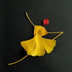 -babiline芭比莱恩半永久纹眉纹唇发际线