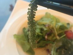 -顶鲜101美食美景餐厅