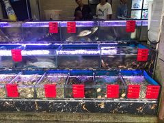 水产区-金海湾海鲜排档(朱家尖店)