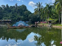 -西双版纳原始森林公园