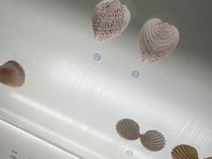 -青岛贝壳博物馆