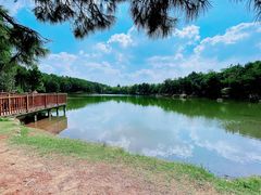 -南京市无想山景区