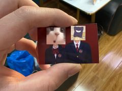 -爱定格照相馆·证件照(青岛李村苏宁店)