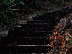 -牛鱼嘴原始生态风景区