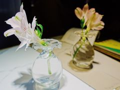 -茶是一枝花泡茶店