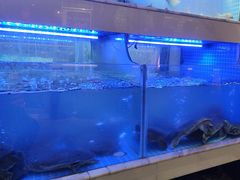 -王捌小院(红花坡店)