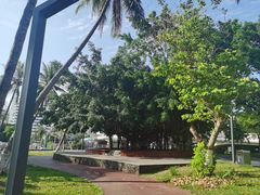 -文昌邓记清补凉(西沙路店)