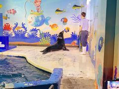 -太平洋海底世界