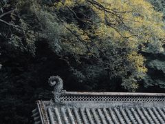 -广州市白云山风景名胜区