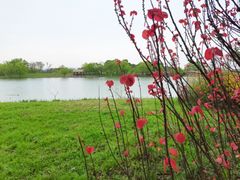 -苏州太湖国家湿地公园