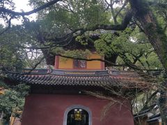 -普陀山风景名胜区-法雨禅寺