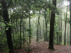 -西湖风景区十里琅珰-五云山