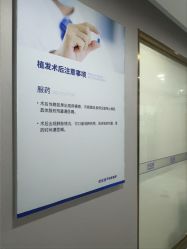 -碧莲盛不剃发植发