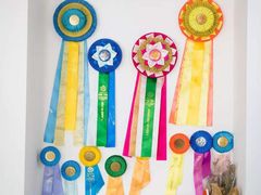 -Husky Go! 哈士奇体验馆·宠物咖啡厅狗咖