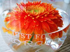 -宫廷糕点铺