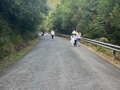 -东天目山风景区