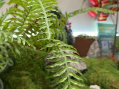 -糖糖屋•糖水•雪花冰店(时尚天河店)