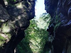 -牛背梁国家森林公园
