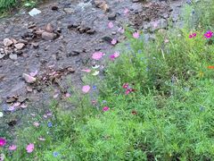 -苏木山森林公园