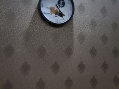 -弘善堂推拿调理