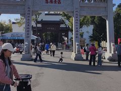 -东湖落雁景区