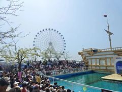 -秦皇岛乐岛海洋王国