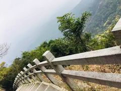 -广州市帽峰山景区
