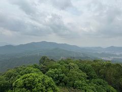 -水濂山森林公园