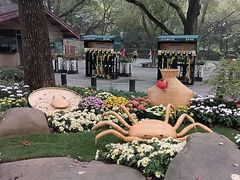 -上海共青森林公园