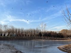 -永定河休闲森林公园