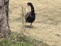 -上海虹桥迎宾馆