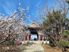 -香山公园