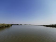 -西青郊野公园