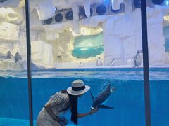 -华夏文旅海洋公园