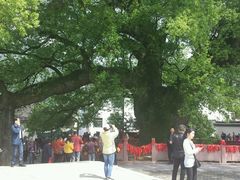 android_upload_pic-新安江山水画廊风景区