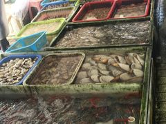 -大湾区中央湿地公园-十九涌