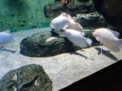 -长沙海底世界