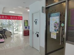 -北京观赏动物医院·24小时大型综合·猫专科·异宠专科