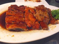 -云中小雅