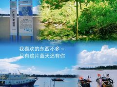 -大湾区中央湿地公园-十九涌