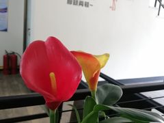 -油城印象(宾南路店)