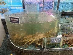 -凯逸轩·匠心粤菜(中城名仕汇店)