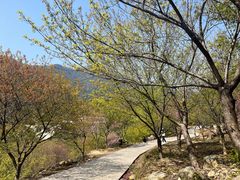 -福清灵石山国家森林公园