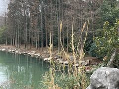 -长广溪湿地公园