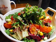 -百好乐宠物友好餐厅(朝外大街店)