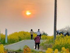 -三圣花乡旅游区