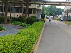 -厦门大学附属中山医院(本部)