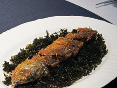 -子福慧(虹桥店)