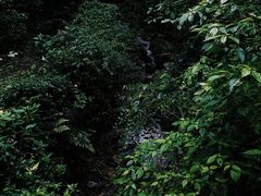 -青城山